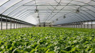 image-1.jpg